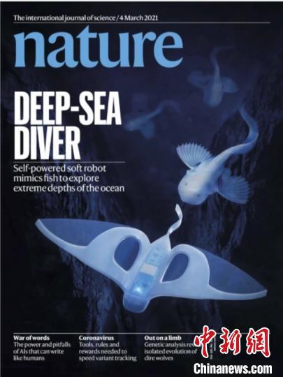 《自然》封面发表之江实验室与浙江大学合作的仿生深海软体机器人最新研究。之江实验室供图