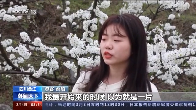 阳春三月春风送暖百花开踏青赏花正当时 新浪科技 新浪网 阳春三月春风送暖百花开踏青赏花正当时 新浪科技 新浪网