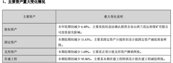 图片来源:ST双环2020年年度报告