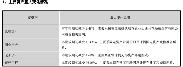 图片来源：ST双环2020年年度报告