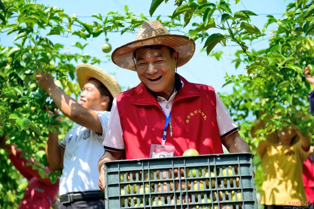 记全国脱贫攻坚先进个人桂平市南木镇龙门村驻村第一书记郑崇杰