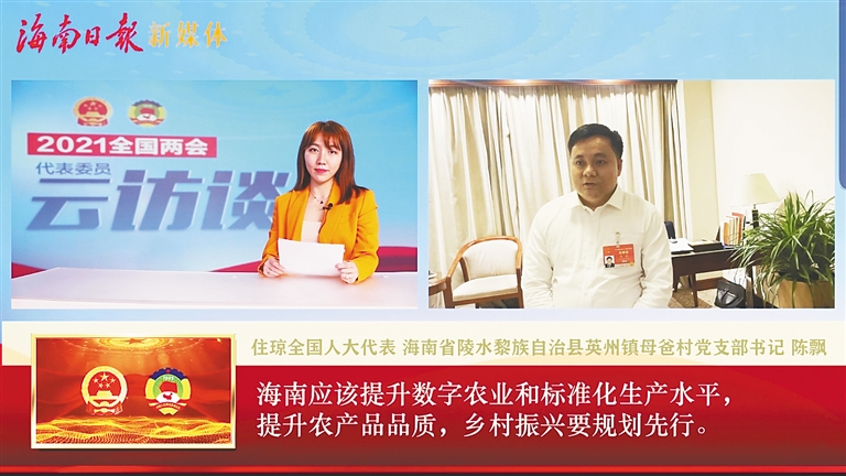 代表委员云访谈