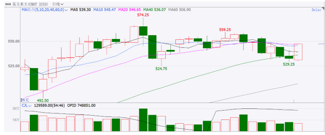 芝商所：美玉米涨势受压制 走出震荡还看需求