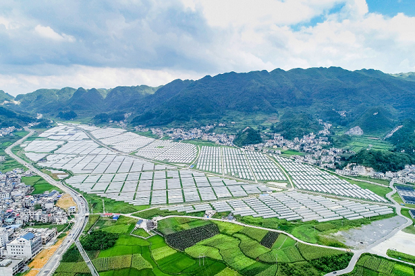 △民营企业在贵州援建的蔬菜产业基地