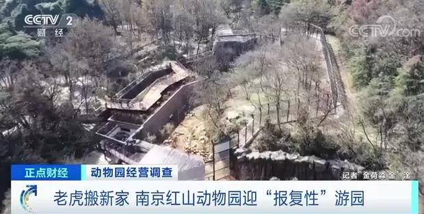 多地动物园迎“报复性”游园 多元经营探索二次消费