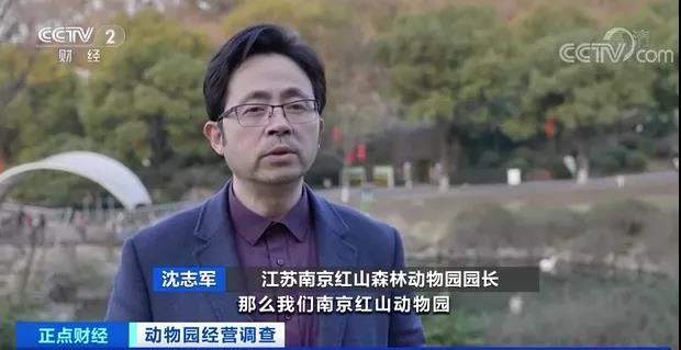 图片来源：央视正点财经