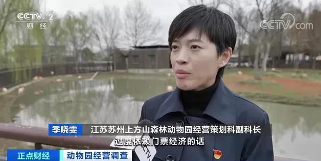 图片来源：央视正点财经