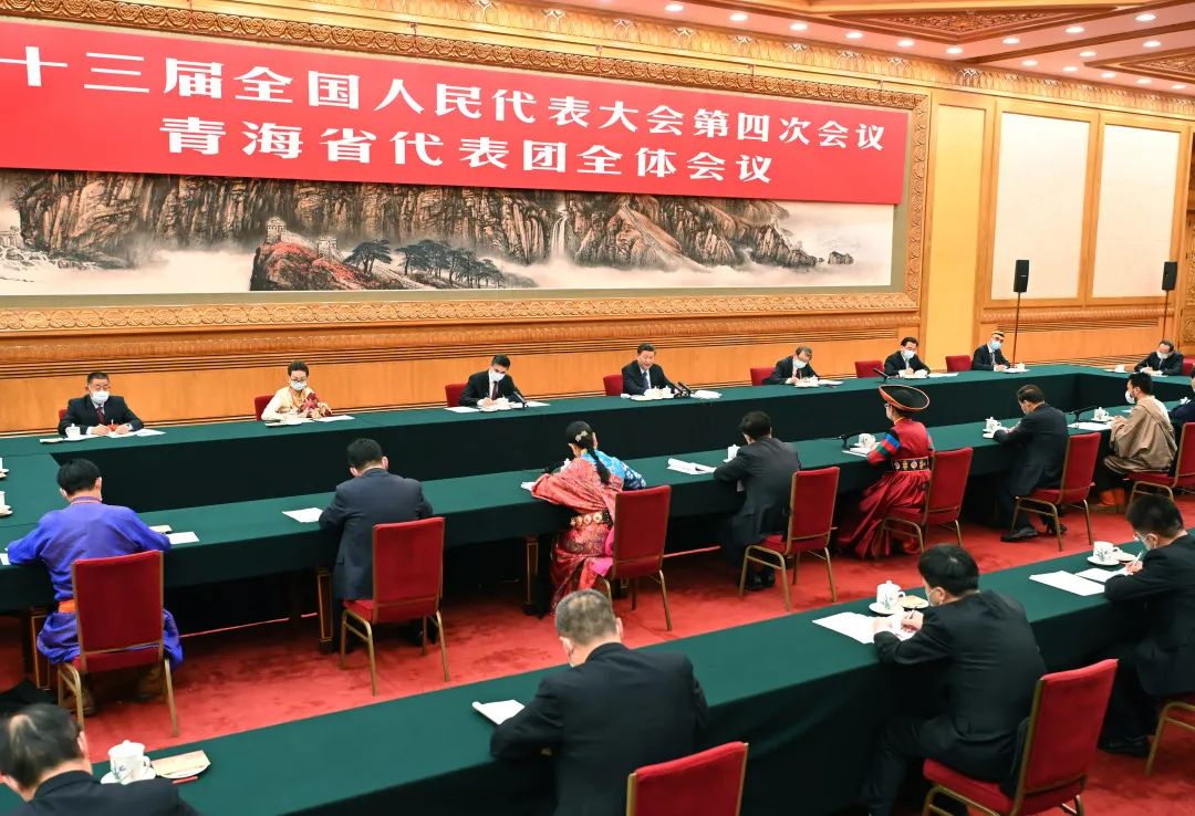  3月7日，习近平总书记参加青海代表团审议。新华社记者 李涛 摄