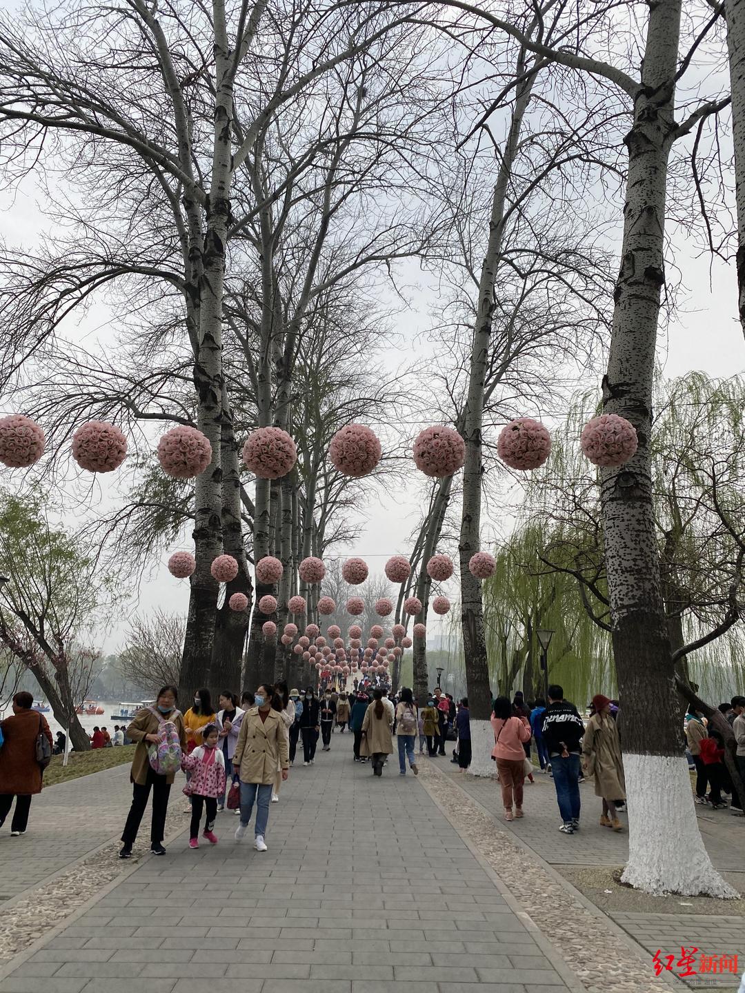▲北京玉渊潭公园内游玩的市民