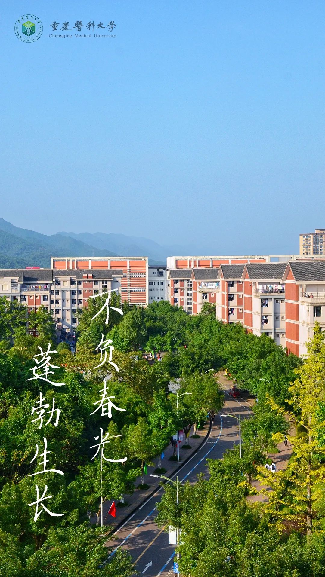 新浪新闻