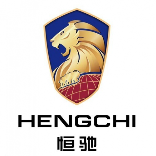 前拜腾首席执行官戴雷加盟恒大汽车任常务副总裁