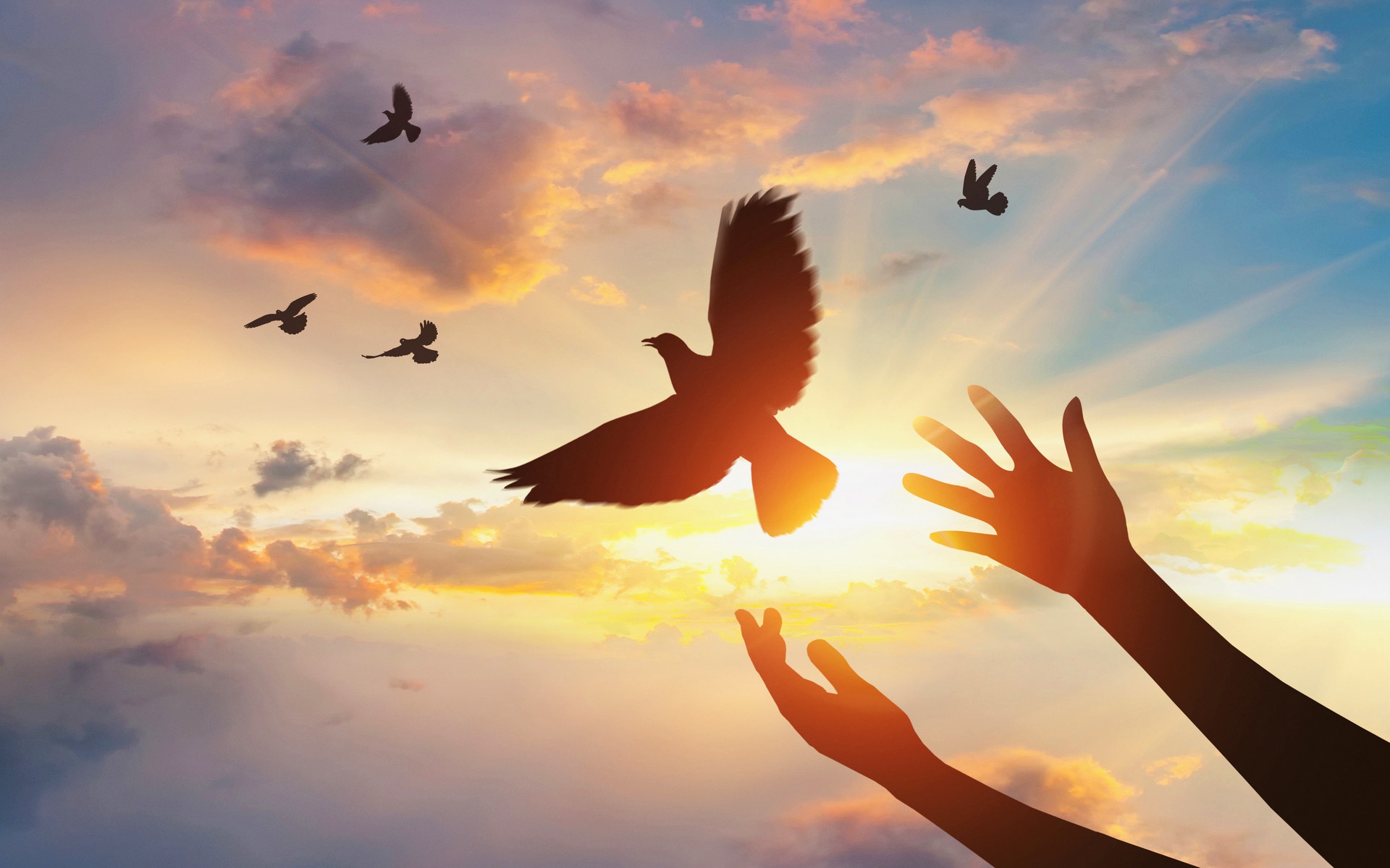 武汉市重启一周年过半上市公司去年净利增长今年一季度