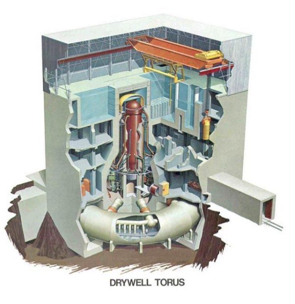 沸水堆核电站结构示意图/天涯社区