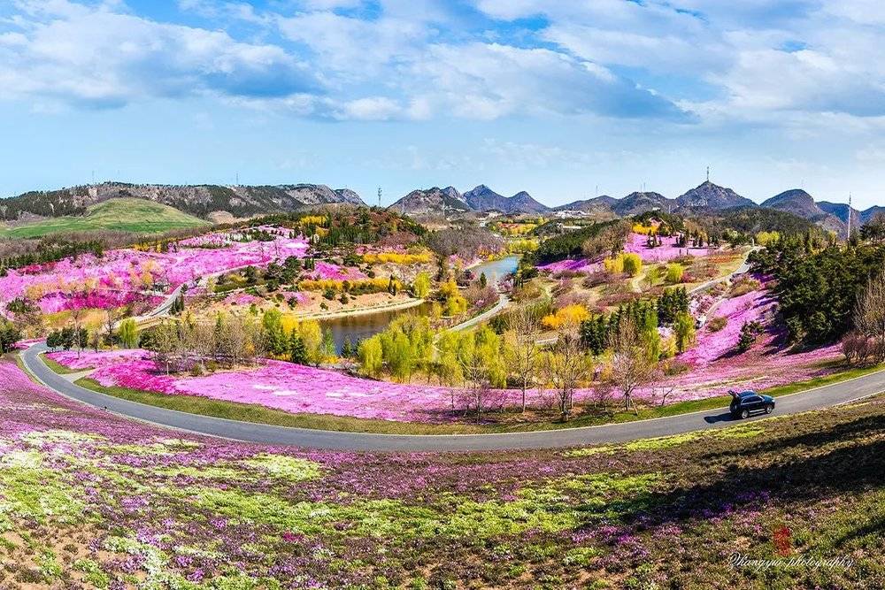 一个东北男人辞职去建植物园 植物园 新浪财经 新浪网