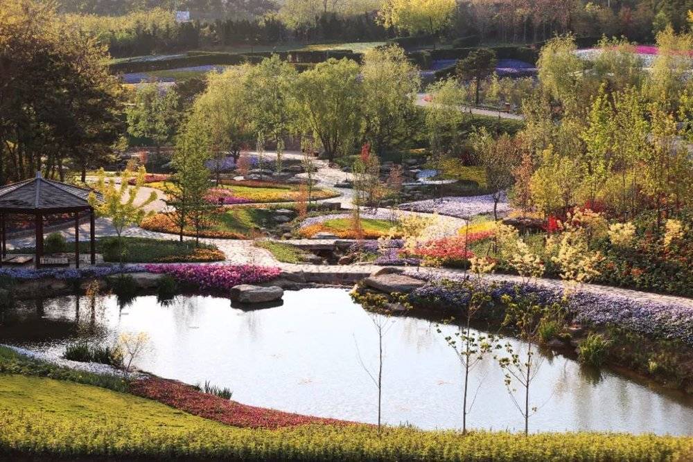 一个东北男人辞职去建植物园 植物园 新浪财经 新浪网 一个东北男人辞职去建植物园 植物园 新浪财经 新浪网