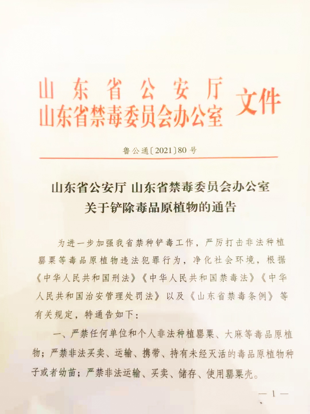 种一棵也不行！山东发通告严厉打击非法种植罂粟等违法犯罪行为