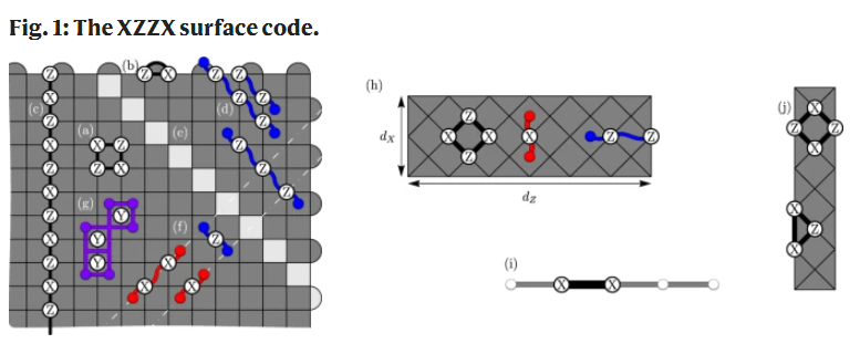 XZZX surface code 示意图。