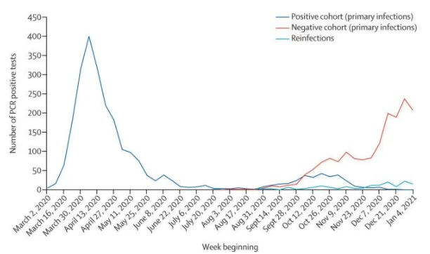 ▲既往感染者（深蓝，以2020年6月中旬结果分组）、未感染者（红色）、二次感染（浅蓝）检测出核酸阳性的人数。（图片来源：参考资料[1]）