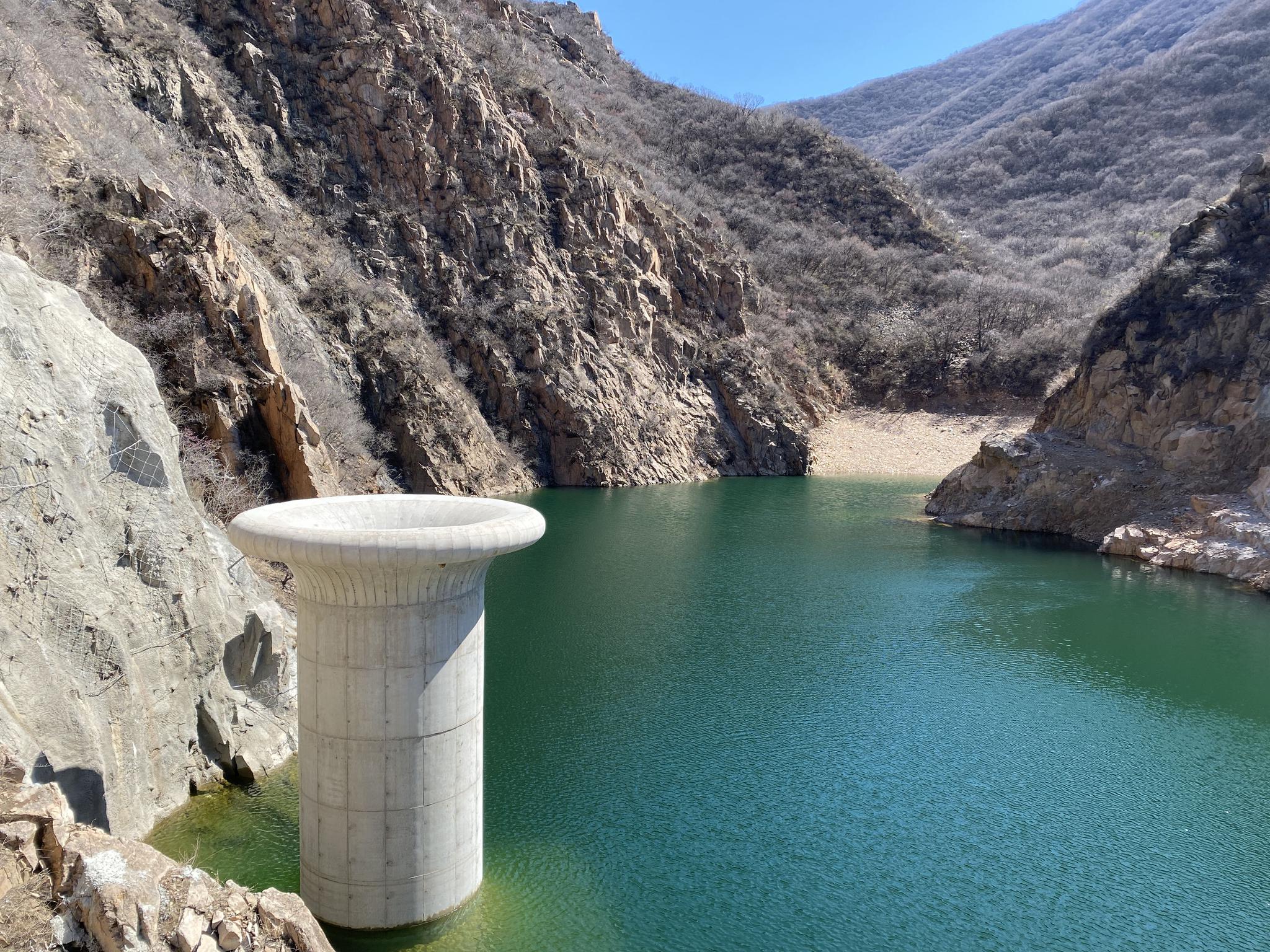 摄影/新京报记者 应悦