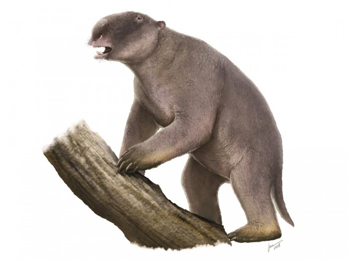 尺寸不是万能的巨型动物灭绝之谜