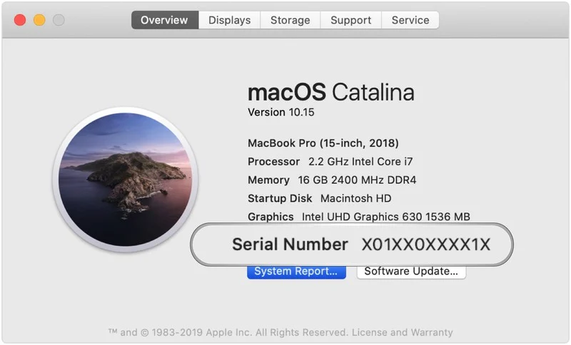 ▲Macos catalina 序列号