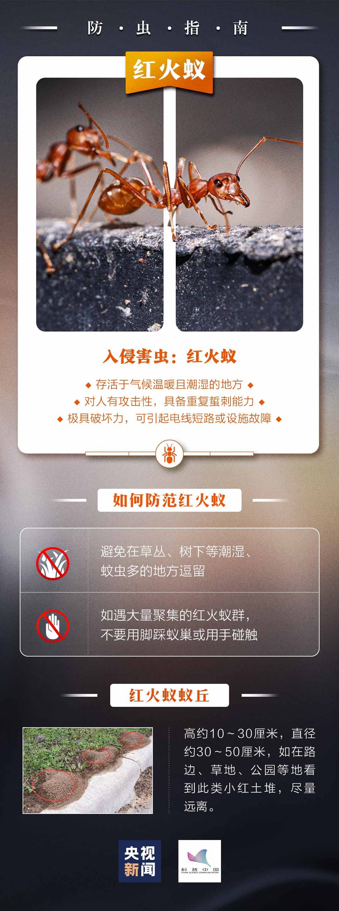 监制丨李浙