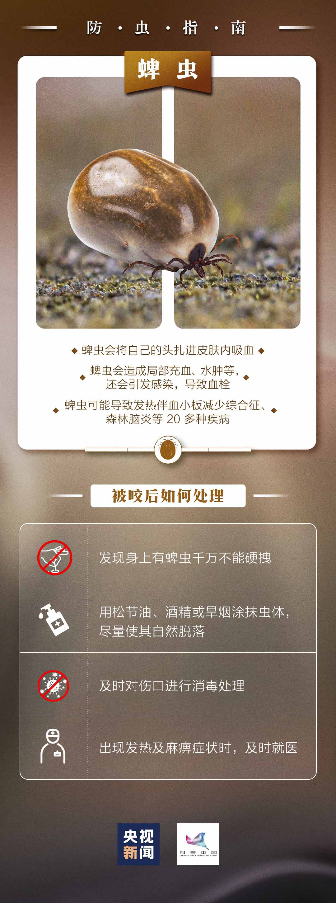 监制丨李浙