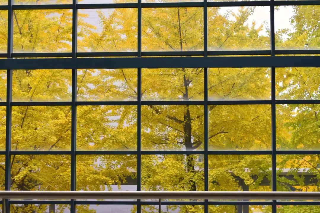 窗景如诗川大如画