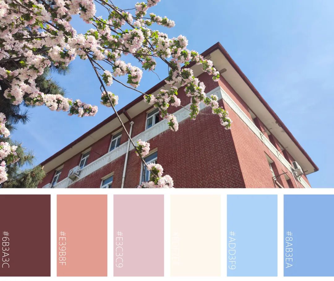 美中农的春日色卡