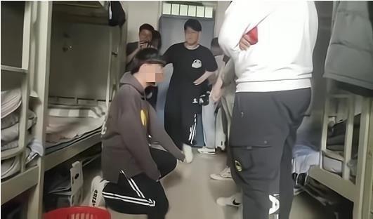 分管副校长被停职扇耳光脚踹逼下跪河南一中学生遭校园欺凌其父亲回应