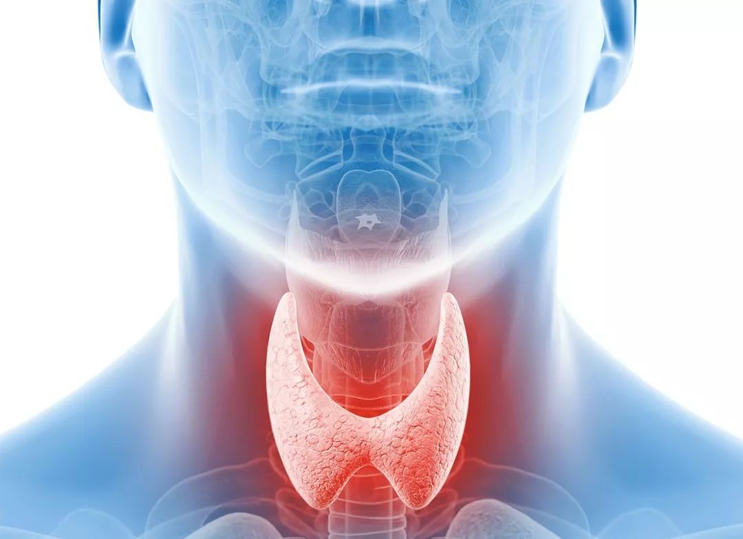 甲状腺检查报告单，六招看懂！