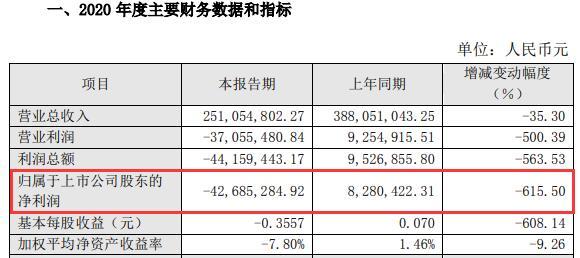 图片来源：实丰文化公告