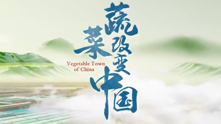 蔬菜改变中国 为寿光人创造的绿色奇迹点赞！