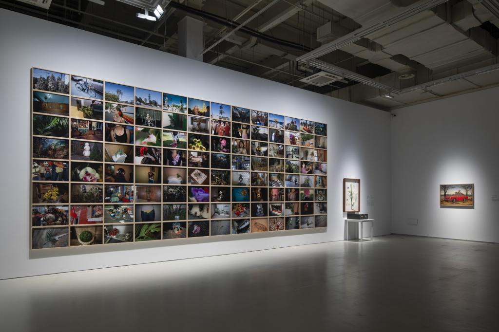 上海双年展聚焦水体与独特历史与地理息息相关