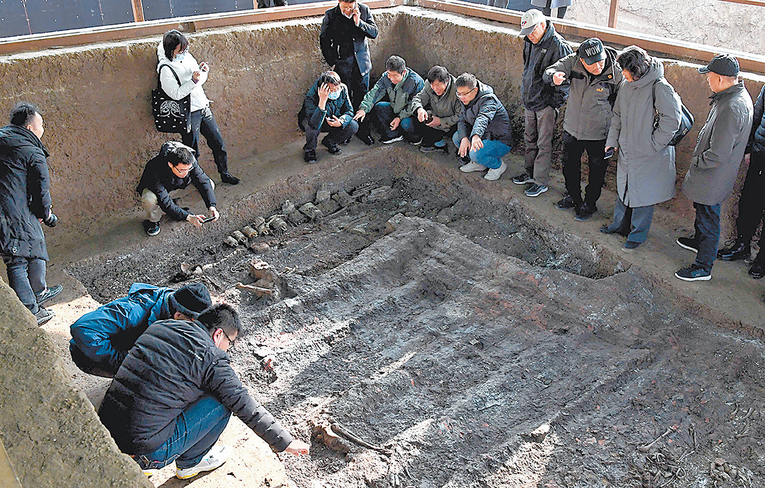 关注2020年度全国十大考古新发现从徐阳墓地看中原车马坑的前世今生