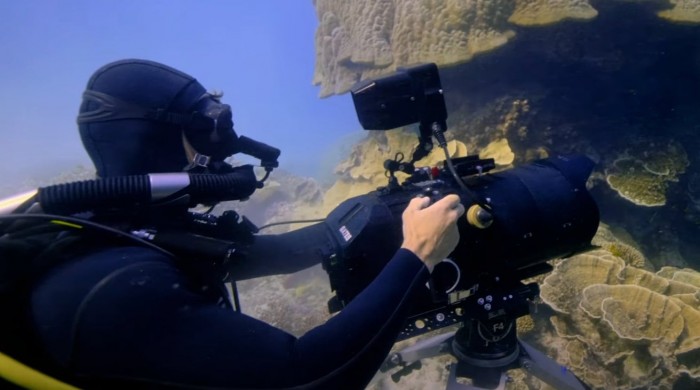 Apple TV+《小小世界》制作人使用保留气体的潜水装备进行水下拍摄