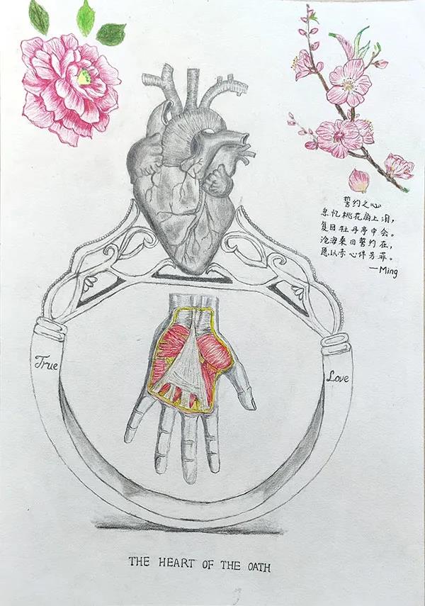 △ 作者：吴城箭 医学部临床医学专业2019级本科生