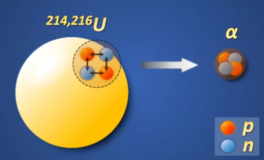 ²¹⁴U和²¹⁶U中质子-中子相互作用导致α粒子形成几率增强（图片来源：张志远）