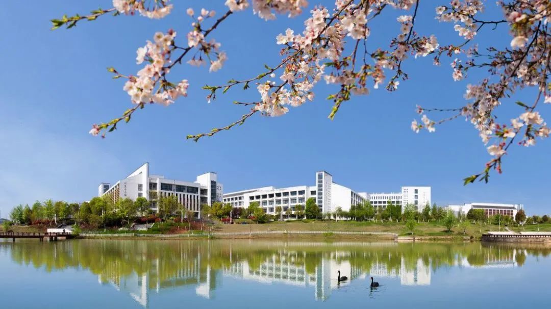 破题中国教育报刊发新时代教育评价改革的合工大方案