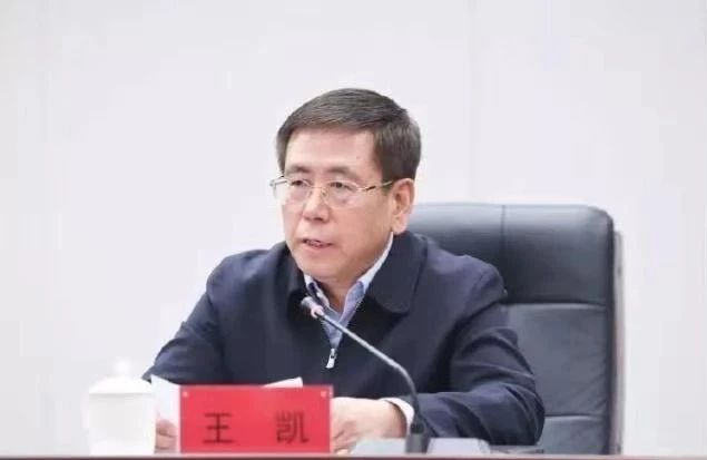 王凯。图/吉林省政府新闻办公室
