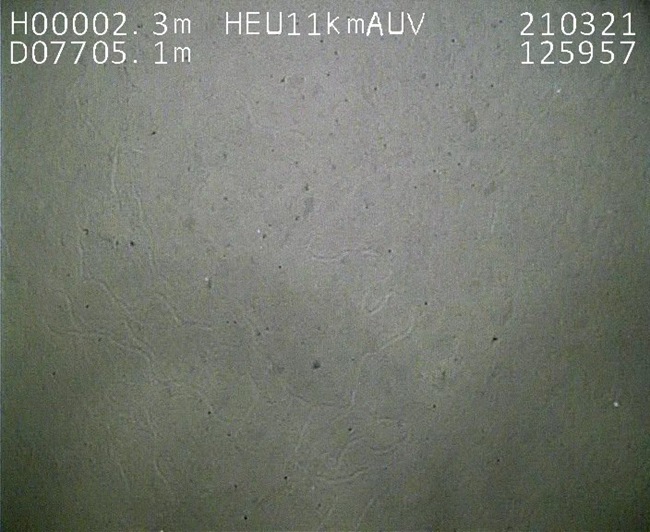 △AUV在7705米海底拍摄到的沉积物