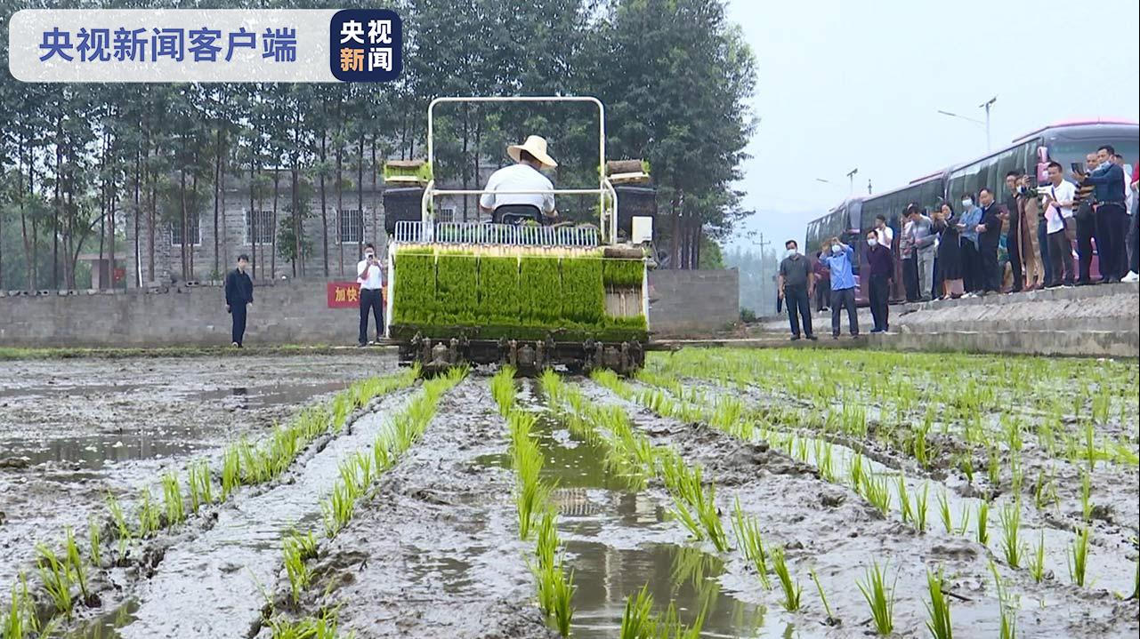 广西贺州：春耕春管农技大行动 聚“智”借“技”助产促增长