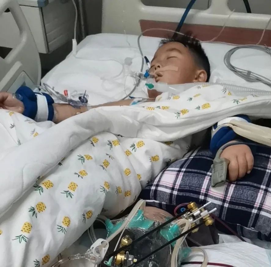 救护车送李小宇到当地医院时已经是休克状态,医生给出的诊断是要从