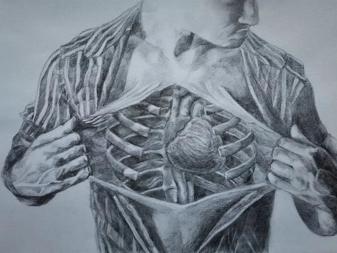 医学与美学的碰撞不会画器官的医学生不是好艺术家