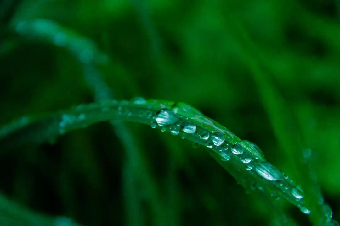 看向窗外点点水珠交织彩色霓虹蒙蒙细雨在昏黄路灯下飘飘洒洒嘴角轻轻