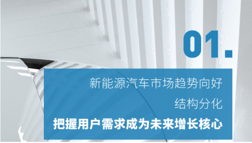 破晓立新 百舸争流——2021中国新能源汽车市场洞察报告