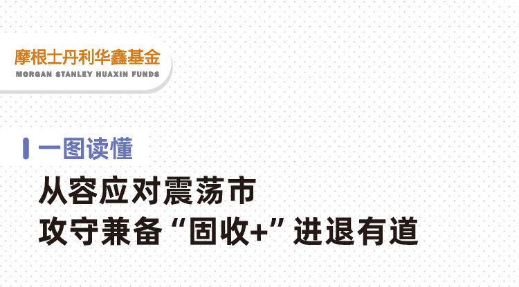 “一图读懂大摩招惠一年持有期混合基金