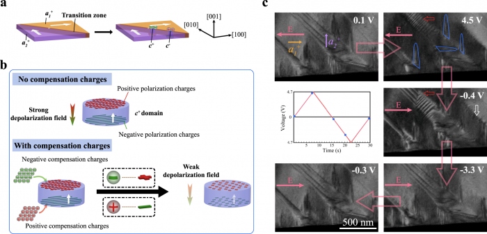 研究配图-4：通过补偿电荷使c结构域稳定，以及在电负载下的冻结行为。