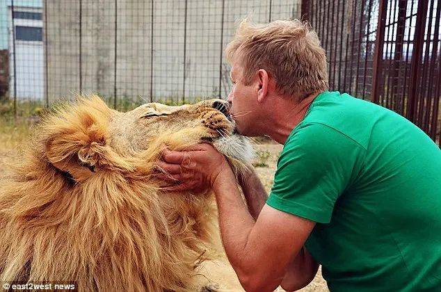 园长与狮子接吻