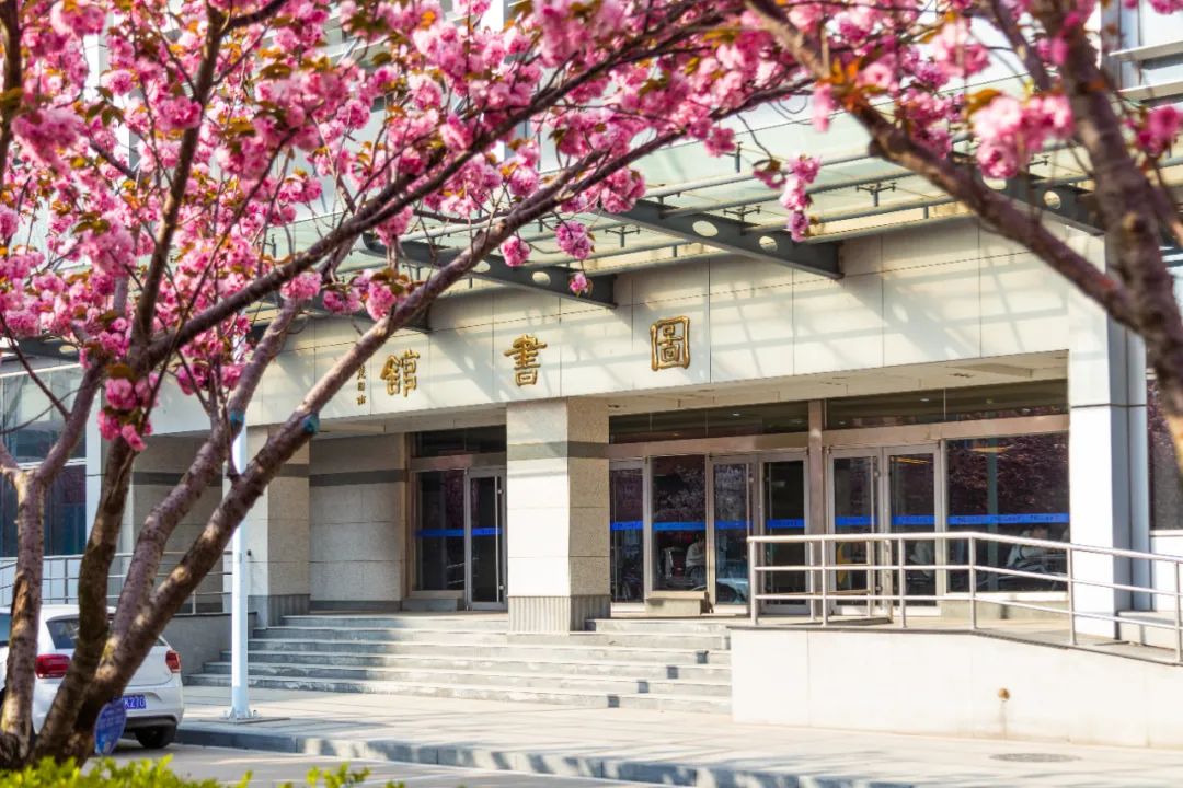 今天 我们一起在石大春景中漫步 新浪新闻 今天 我们一起在石大春景中漫步 新浪新闻